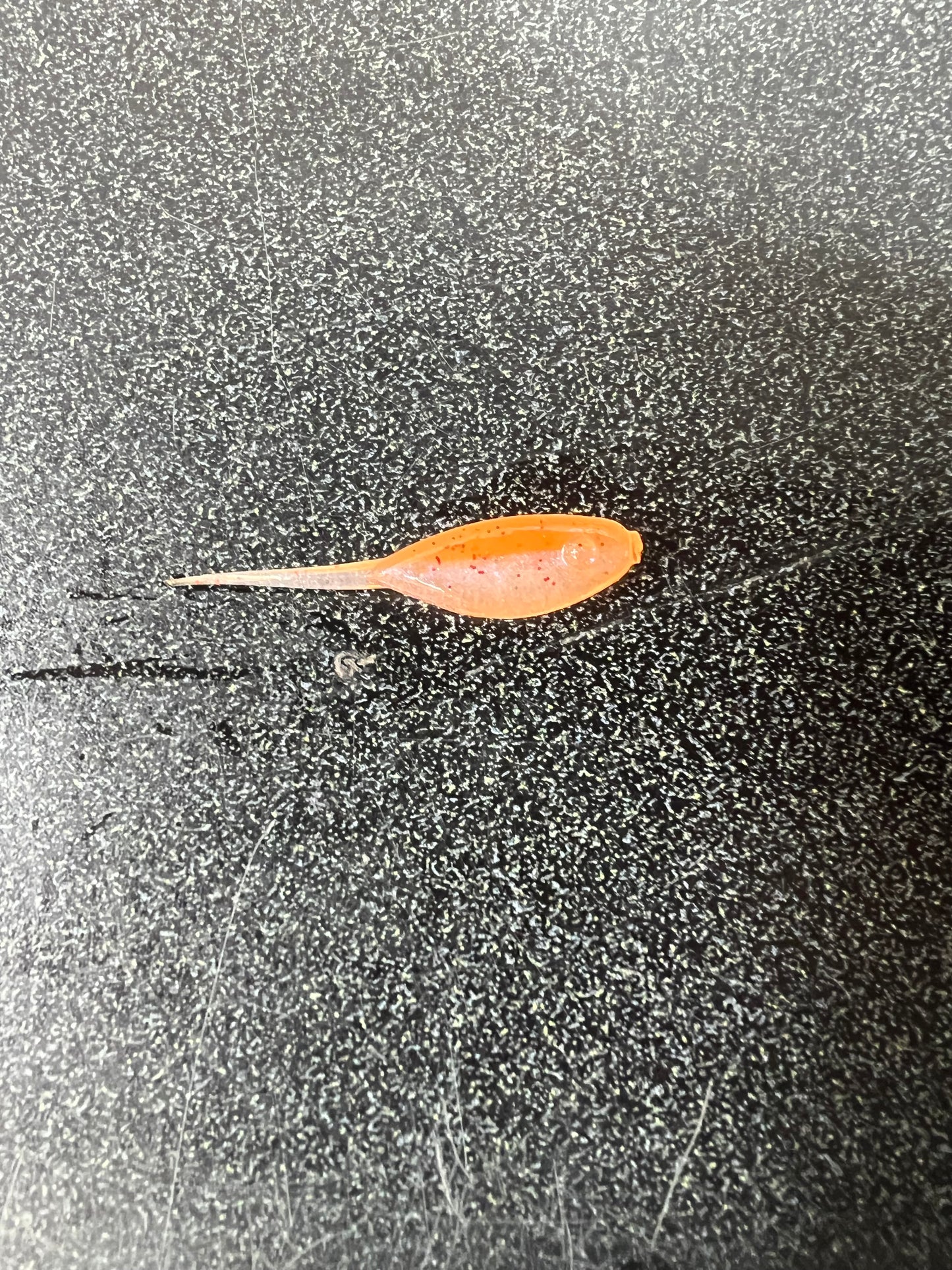 1.5 Shad Body Stinger Tail (little minnow)