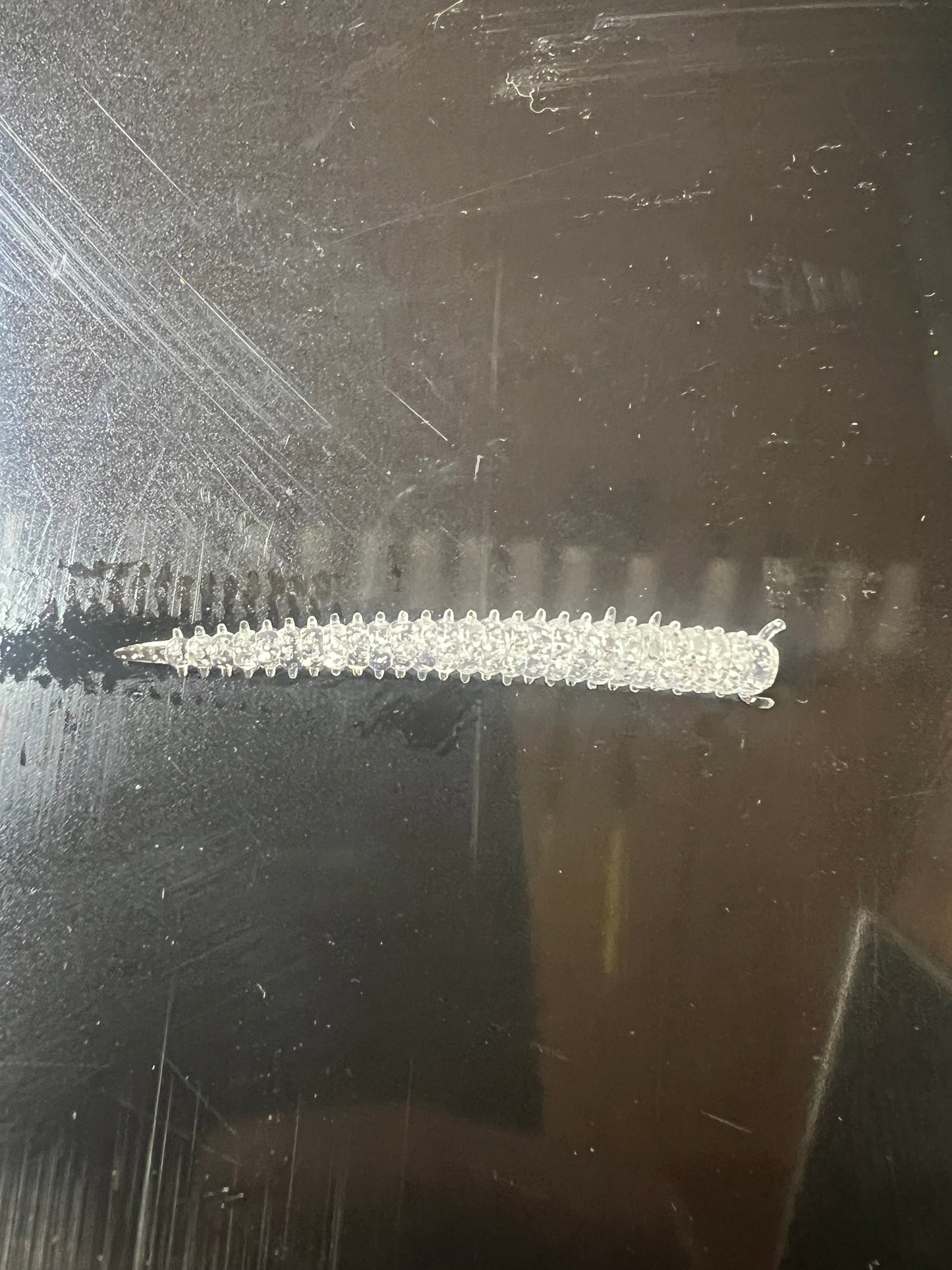 2in Sandworm