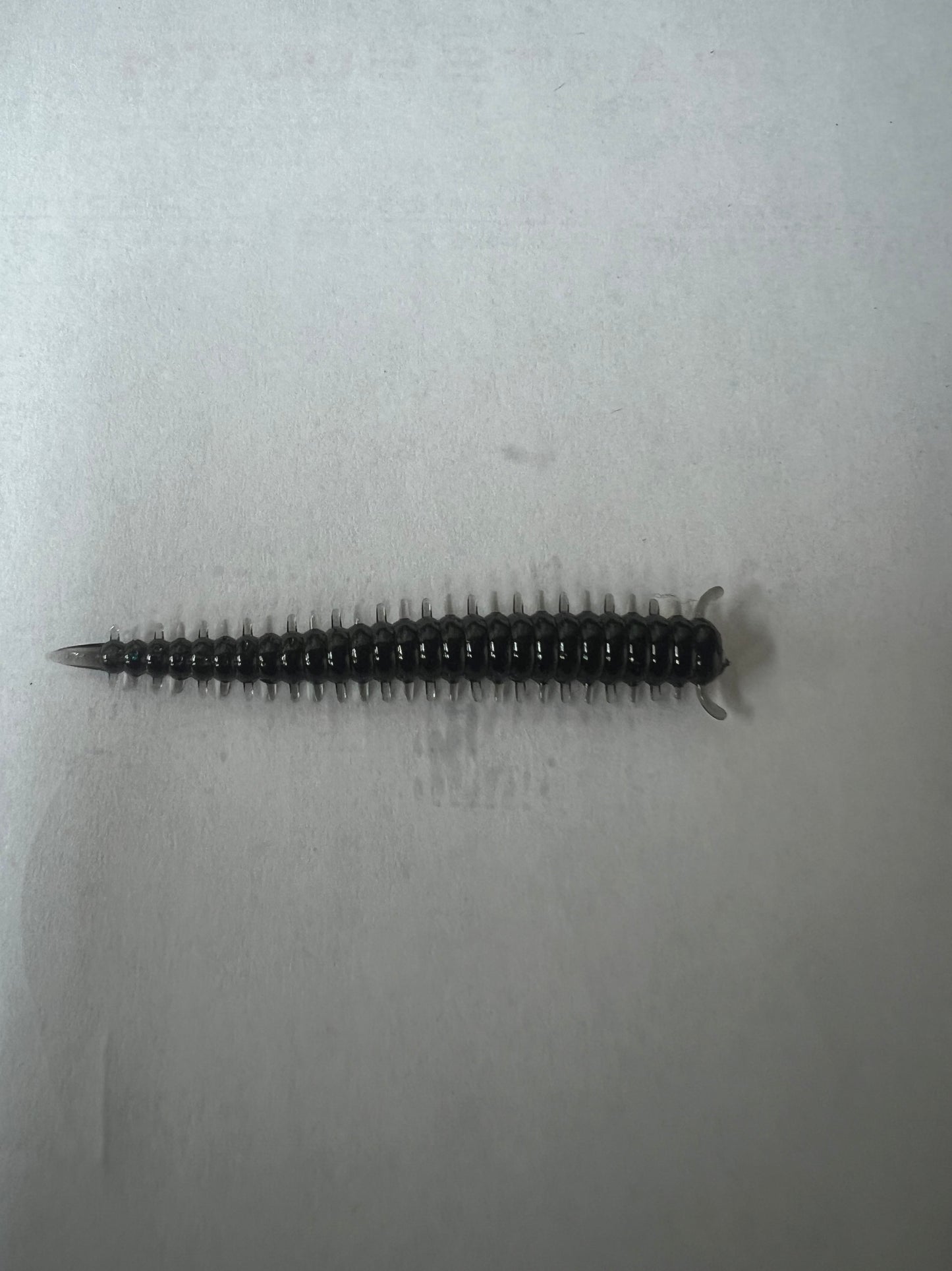 2in Sandworm