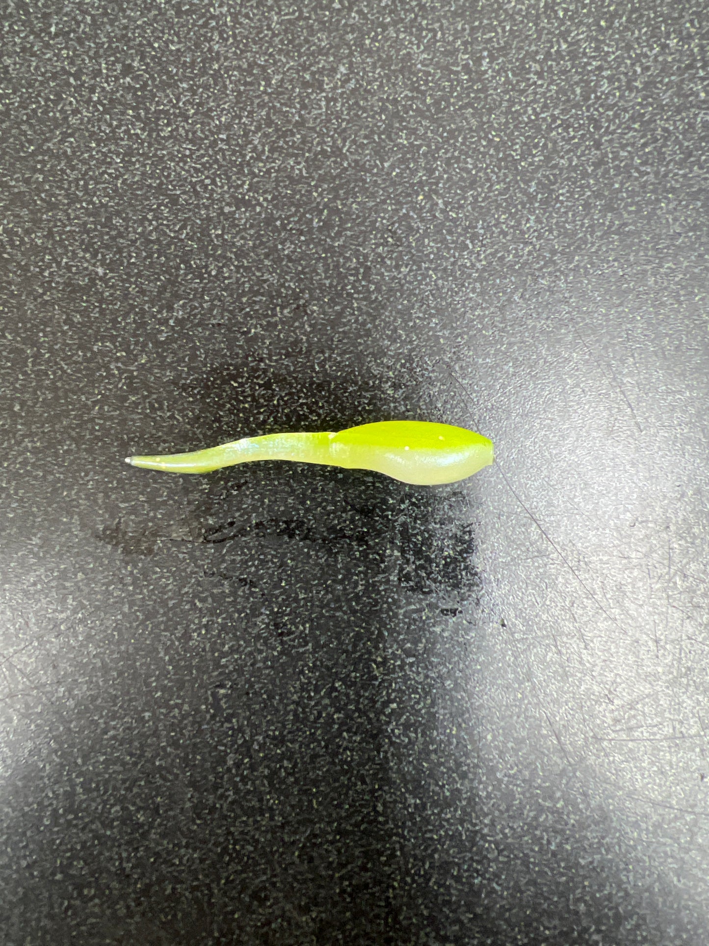 2 Inch Stinger Tail Crappie Jig 20 Pack