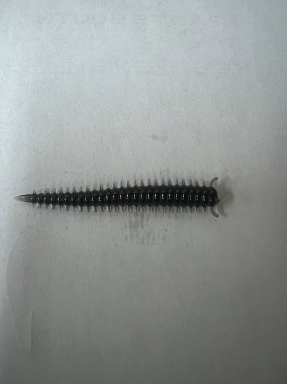 2in Sandworm