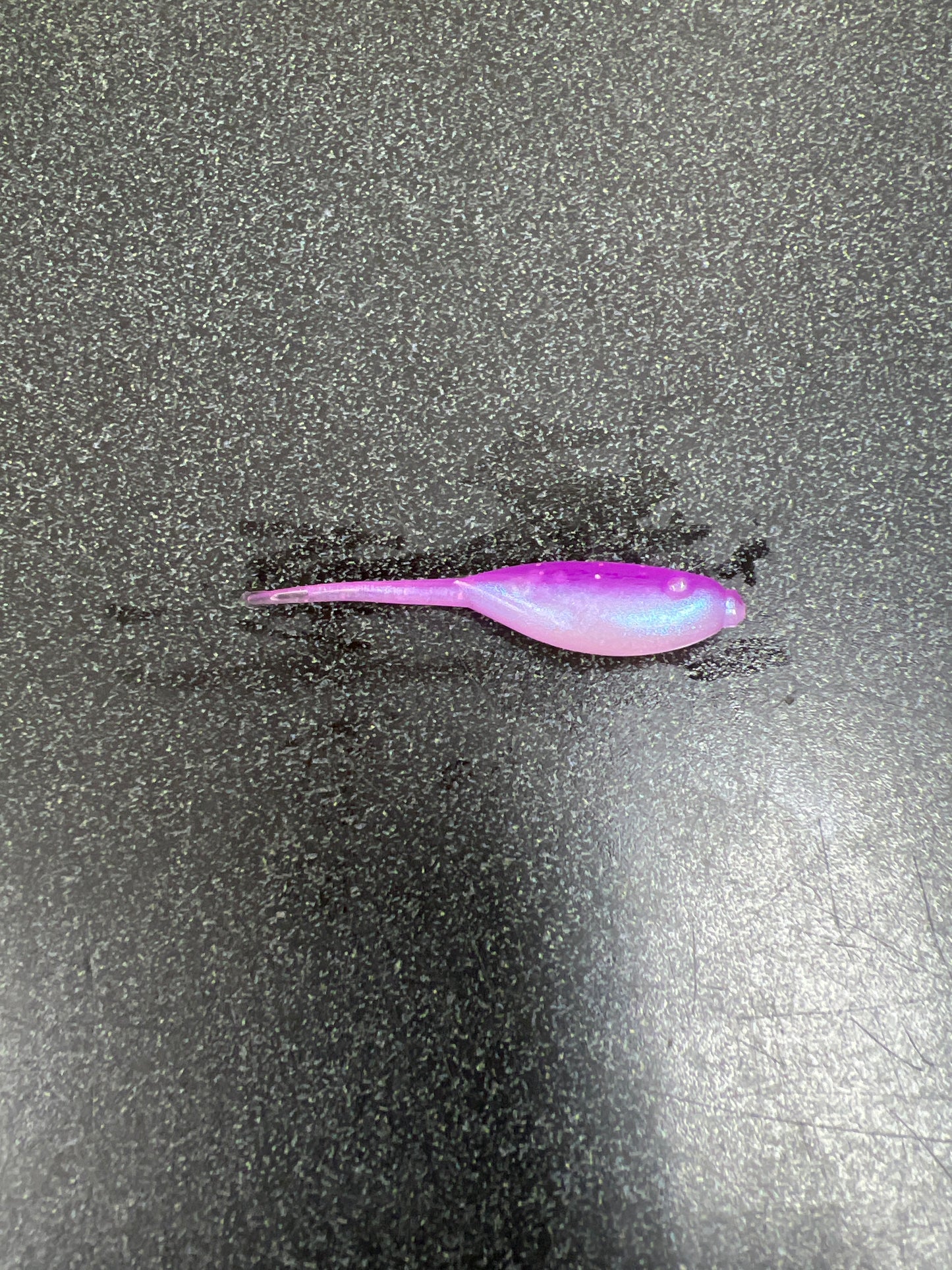 2 Inch Big Minnow Crappie Bait 20 Pack