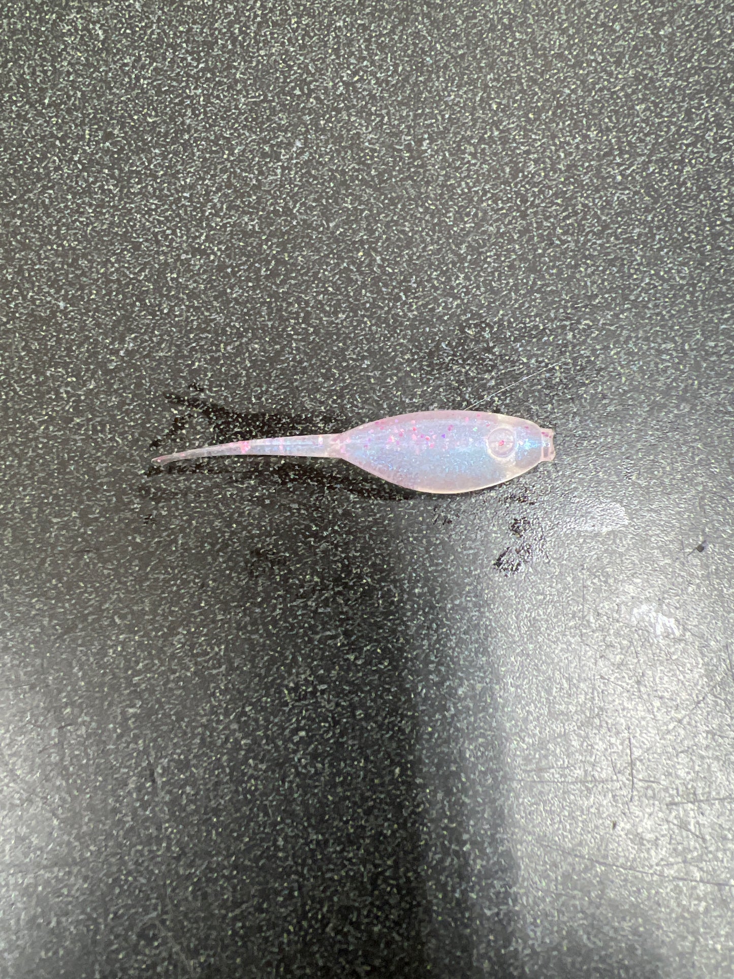 2 Inch Big Minnow Crappie Bait 20 Pack