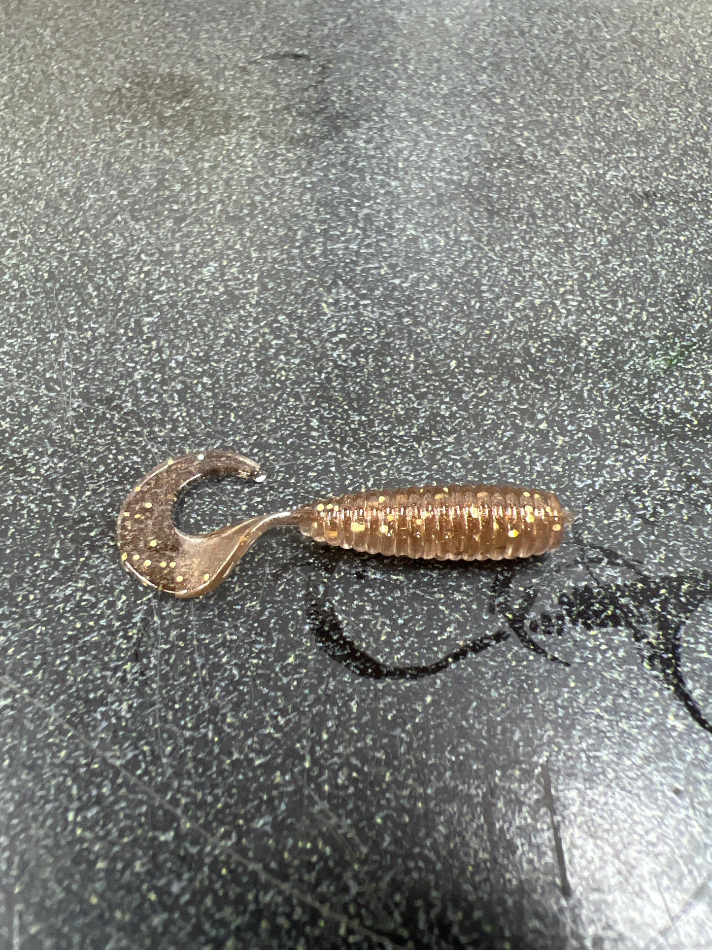 2in Curly Tail Grub