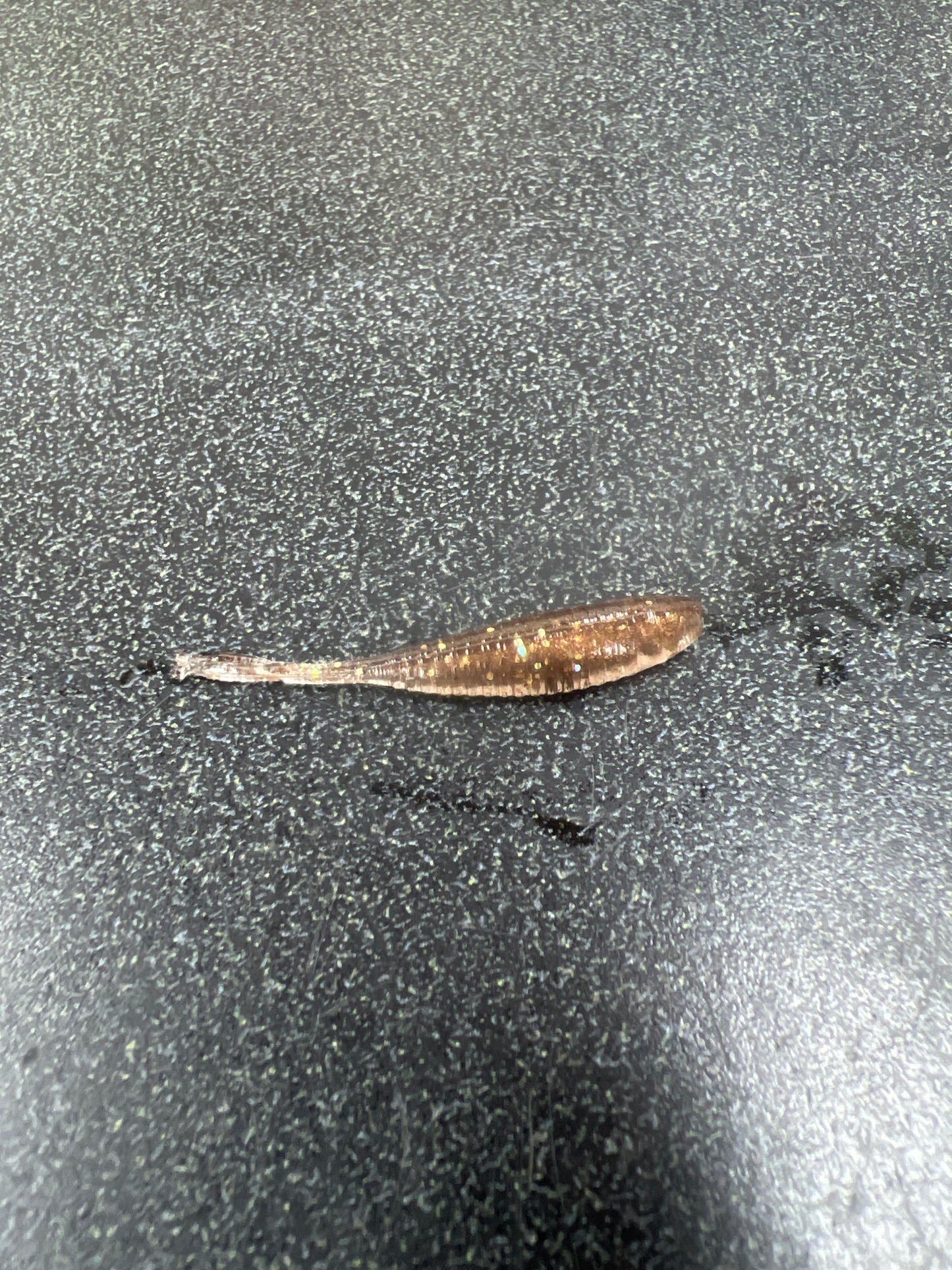 1.5 Gulp Minnow