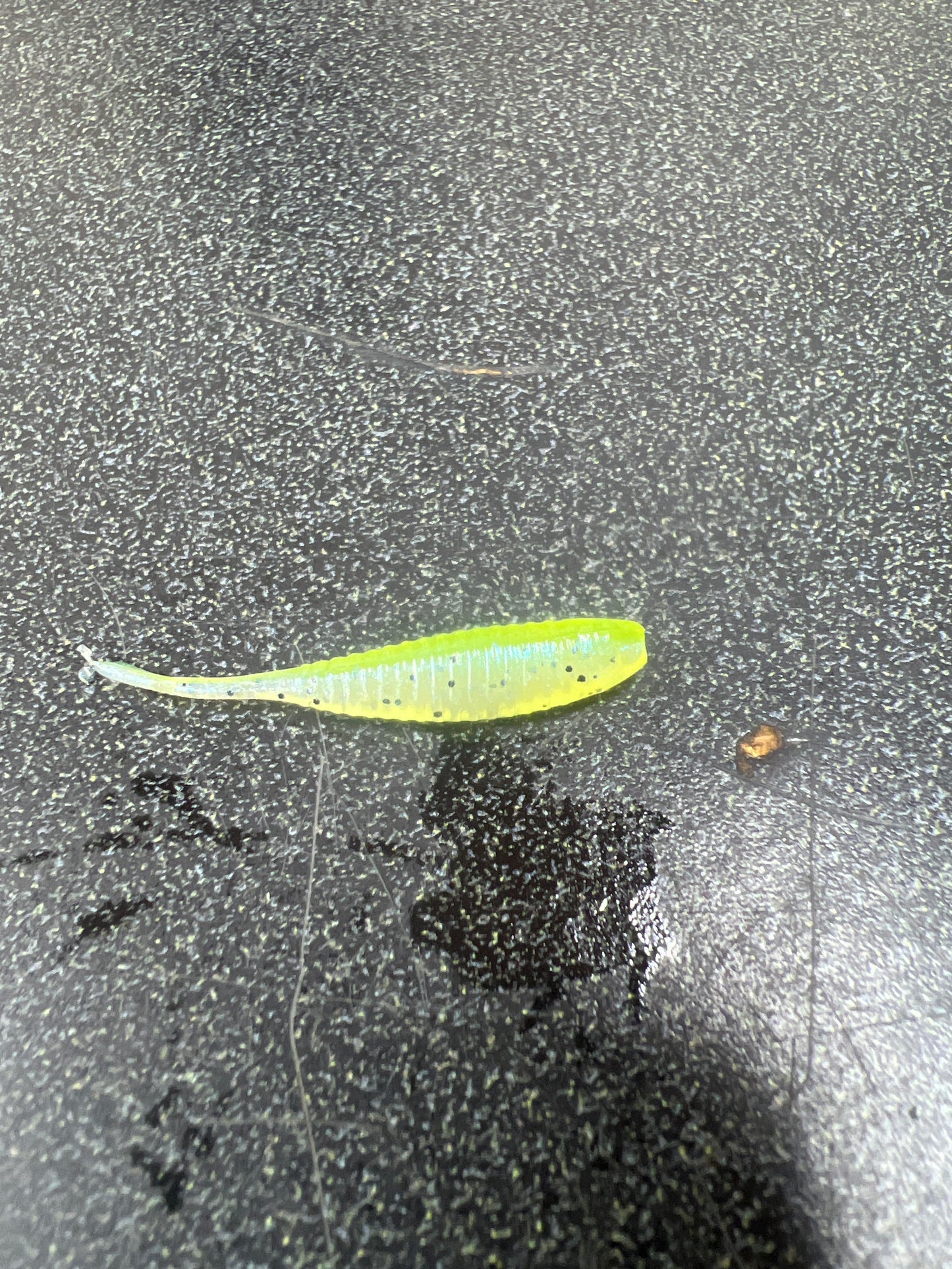 1.5 Gulp Minnow