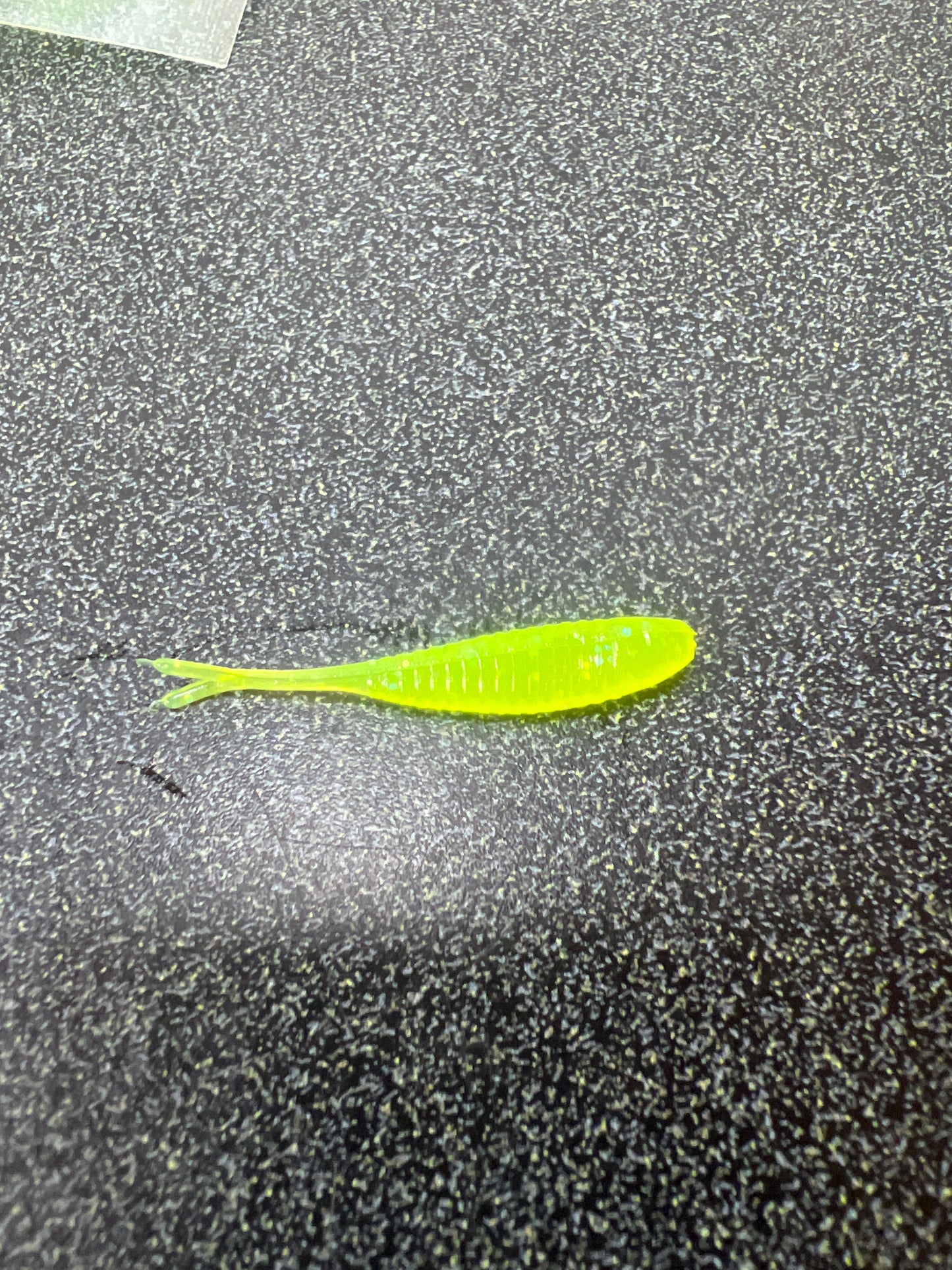 1.5 Gulp Minnow