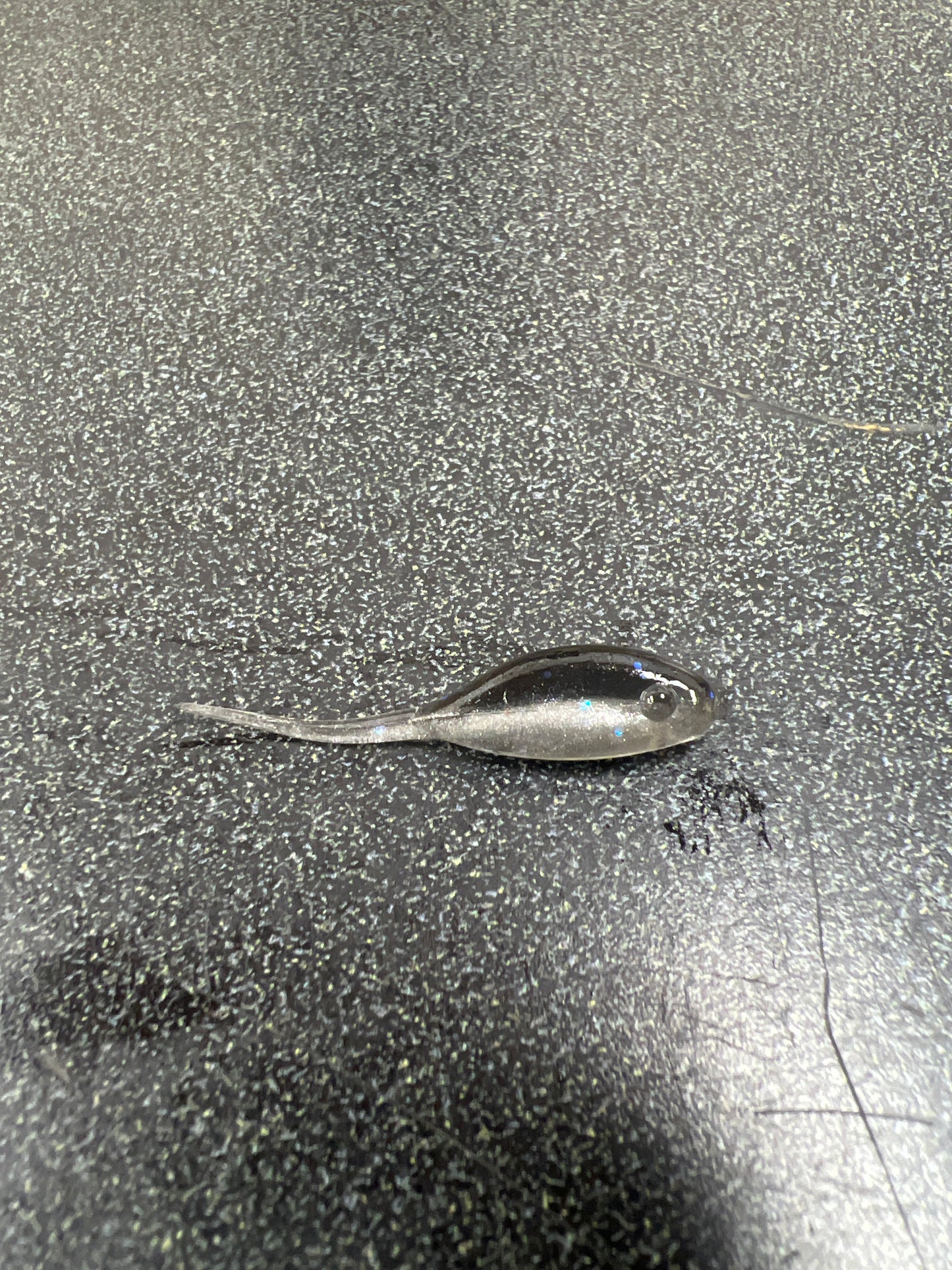 1.5 Shad Body Stinger Tail (little minnow)