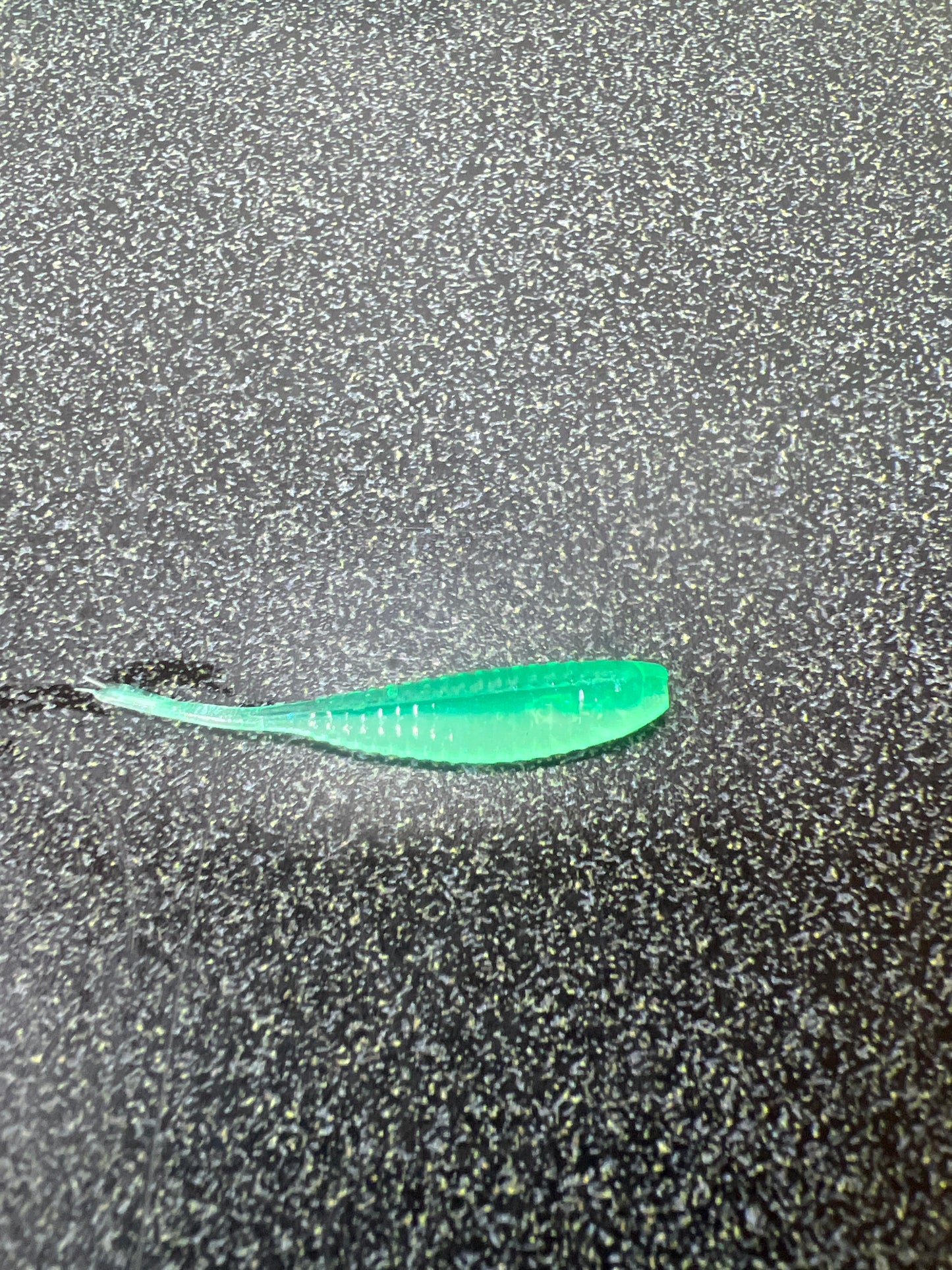 1.5 Gulp Minnow